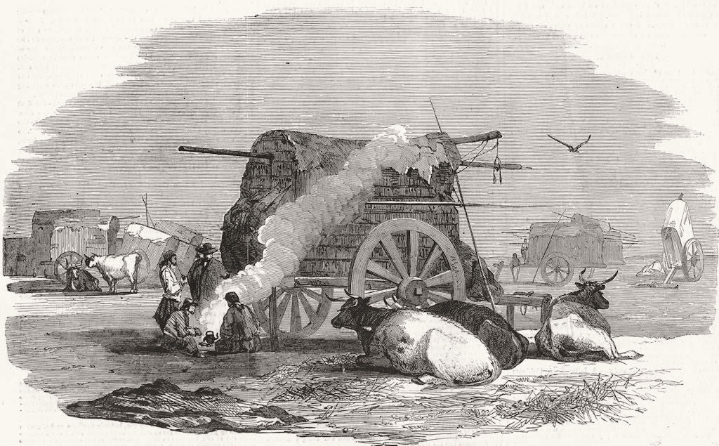 BUENOS AIRES. Sketch, market of Santa Lucia 1858 old antique print picture